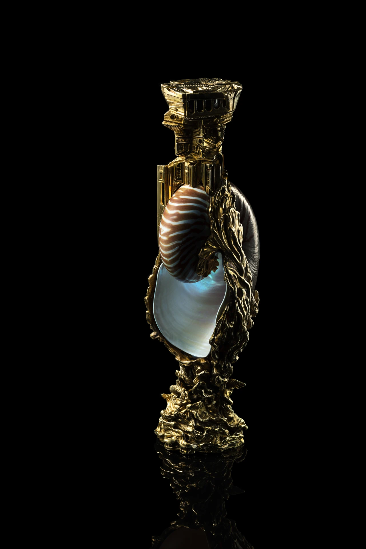 Shell Sculpture — Black Stage